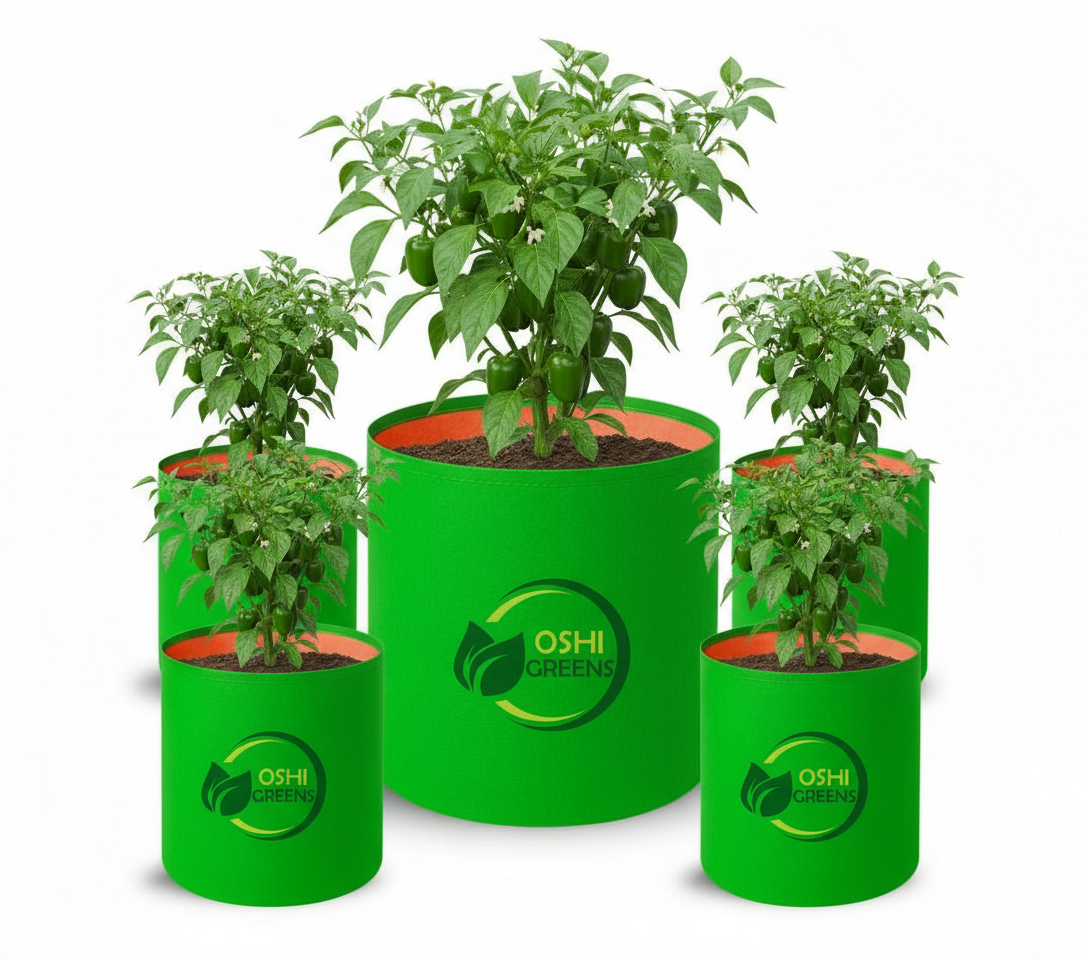 Grow Bags