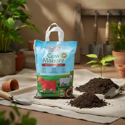 Cow Manure for Plants