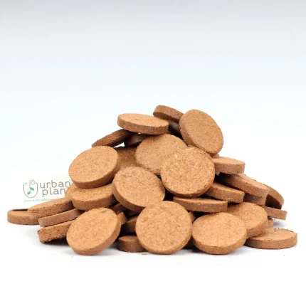 Cocopeat Seedling Coin