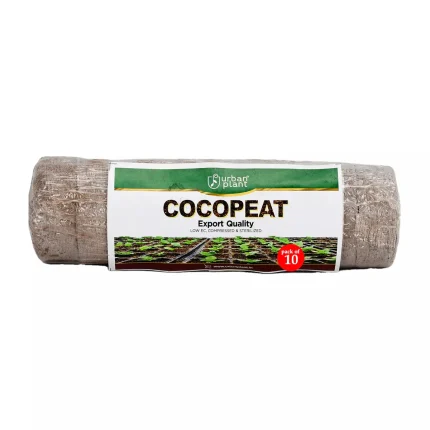 Cocopeat Seedling Coin - (with Plug)