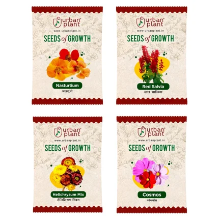Nasturtium, Red Salvia, Helichrysum, Cosmos Flower Seeds - Bundle of 4 Packet