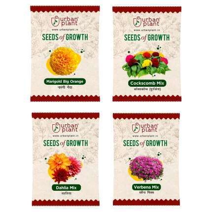 Marigold, Cockscomb, Dahlia, Verbena Flower Seeds - Bundle of 4 Packet