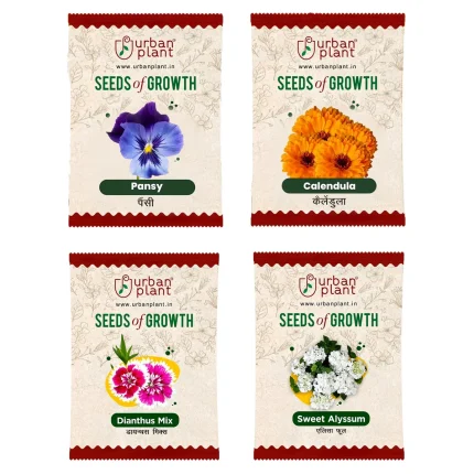 Pansy, Calendula, Dianthus, Sweet Alyssum Flower Seeds - Bundle of 4 Packet