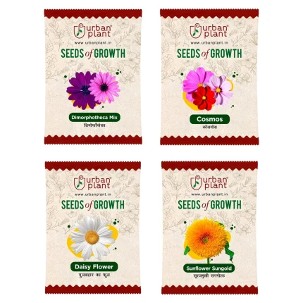 Dimorphotheca, Cosmos, Daisy, Sunflower Sungold Flower Seeds - Bundle of 4 Packet
