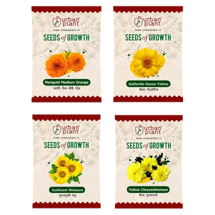 Marigold Orange, Gaillardia, Sunflower, Chrysanthemum Flower Seeds - Bundle of 4 Packet