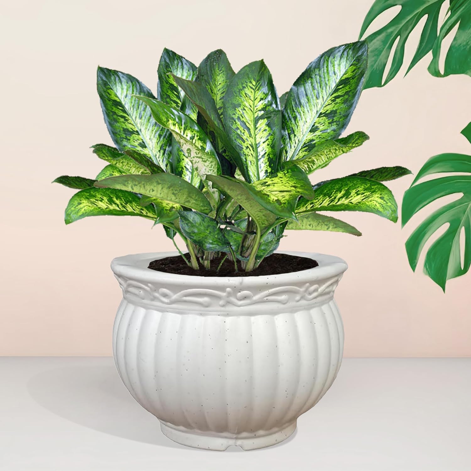 matki-pots