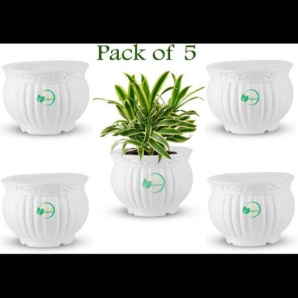 Matki Pot 5" (Set of 5)