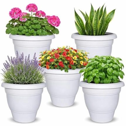 Deluxe Pot 10" (Set of 5)