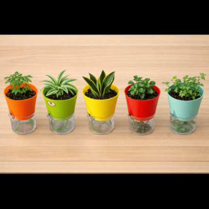 Austin Self Watering pot (Set of 5)