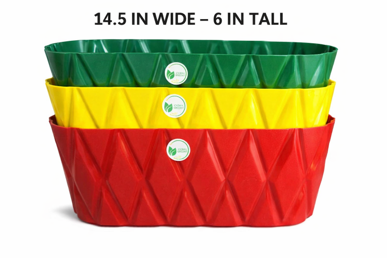 Designer window rectangle trays 14