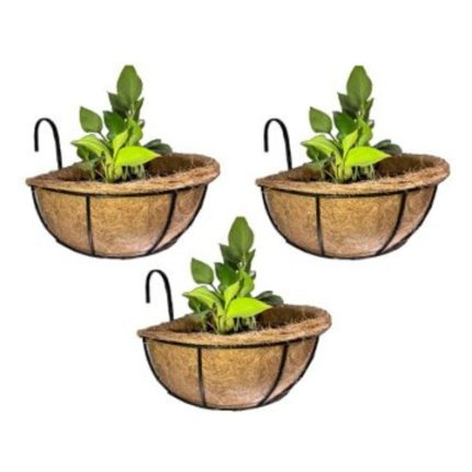 Half Liner Coir 12" (Set of 3)