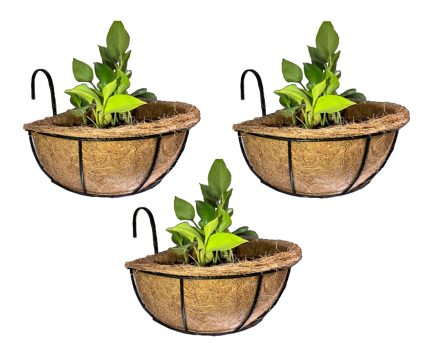 Half coir planters