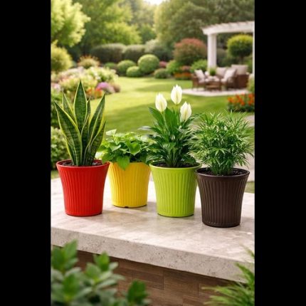 Tancy Pot 10" (Set of 4)