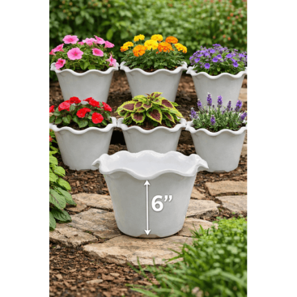 Bloosom Pot 6" (Set of 6)