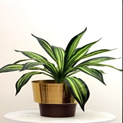 Artificial Dracaena Variegated Stick (Set of 2)