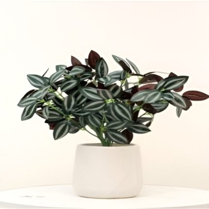 Artificial Peperomia Variegated Stick (Set of 4)