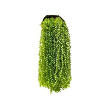 Artificial Hanging Plant Vine (Set of 5)