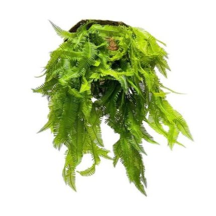 Artificial Boston Fern Vine (Set of 2)